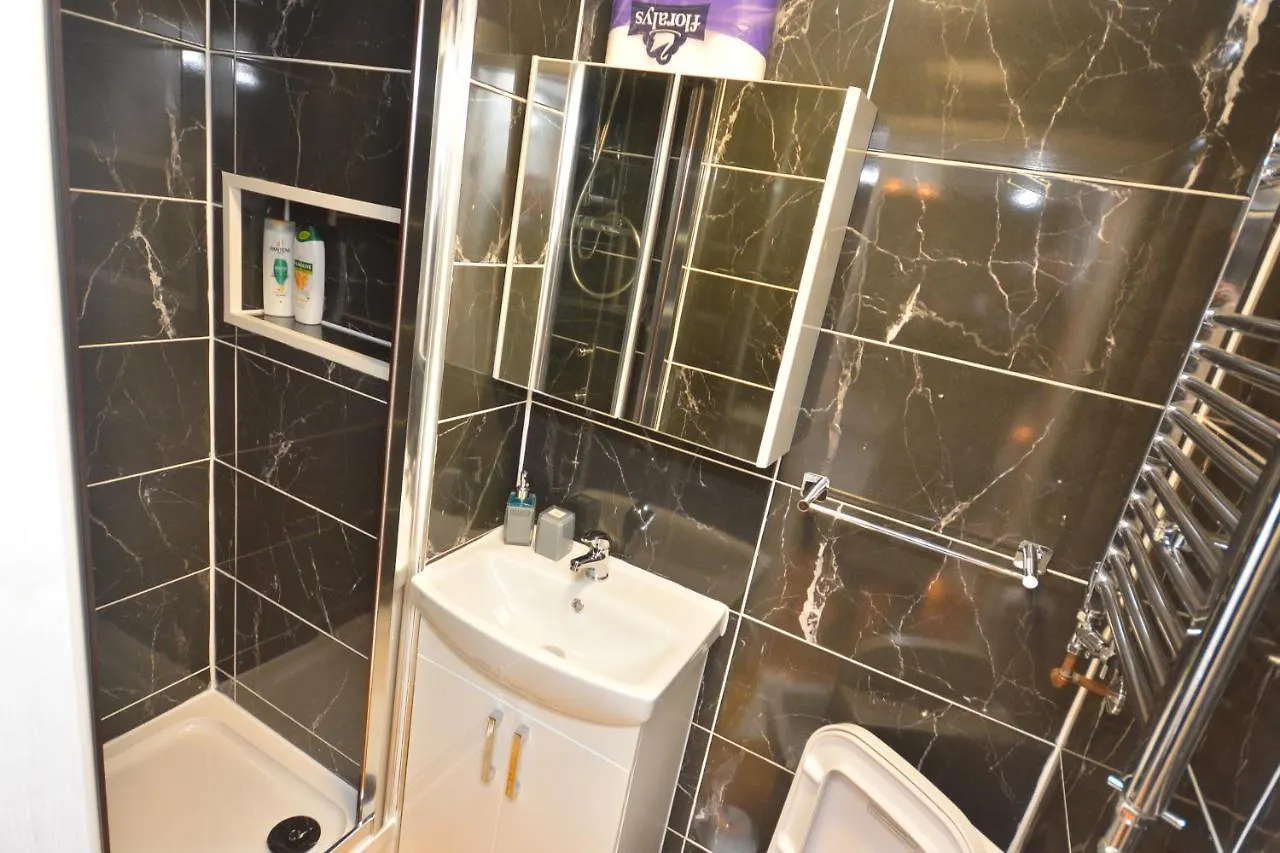 Newly Refurbished 3 Bedroom House לונדון